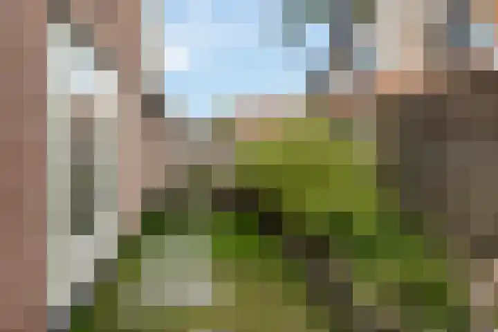 de Nederlanden 16 Noord-Scharwoude thumbnail 48