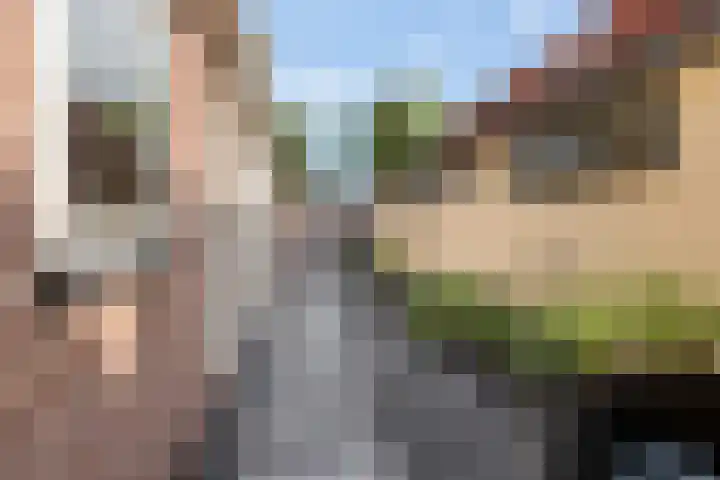 de Nederlanden 16 Noord-Scharwoude thumbnail 5