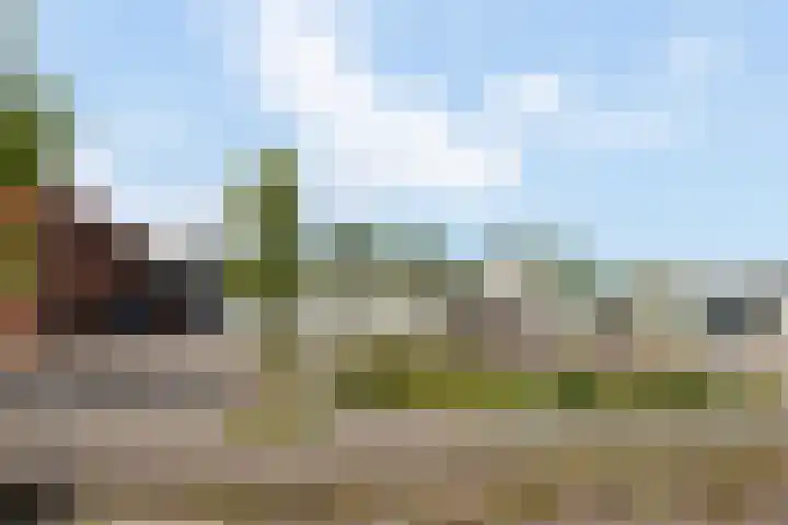 de Nederlanden 16 Noord-Scharwoude thumbnail 55