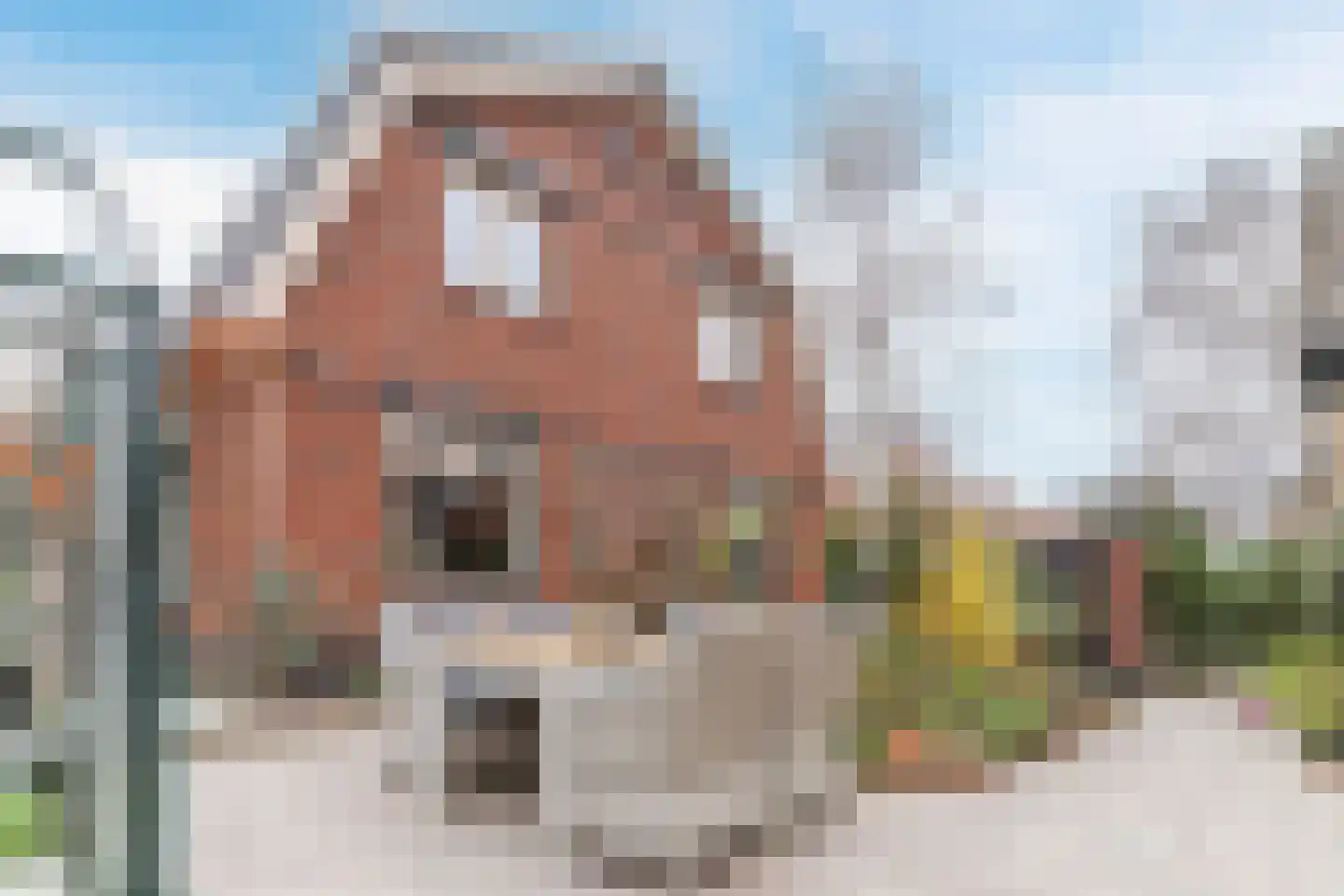 de Nederlanden 4 in Noord-Scharwoude