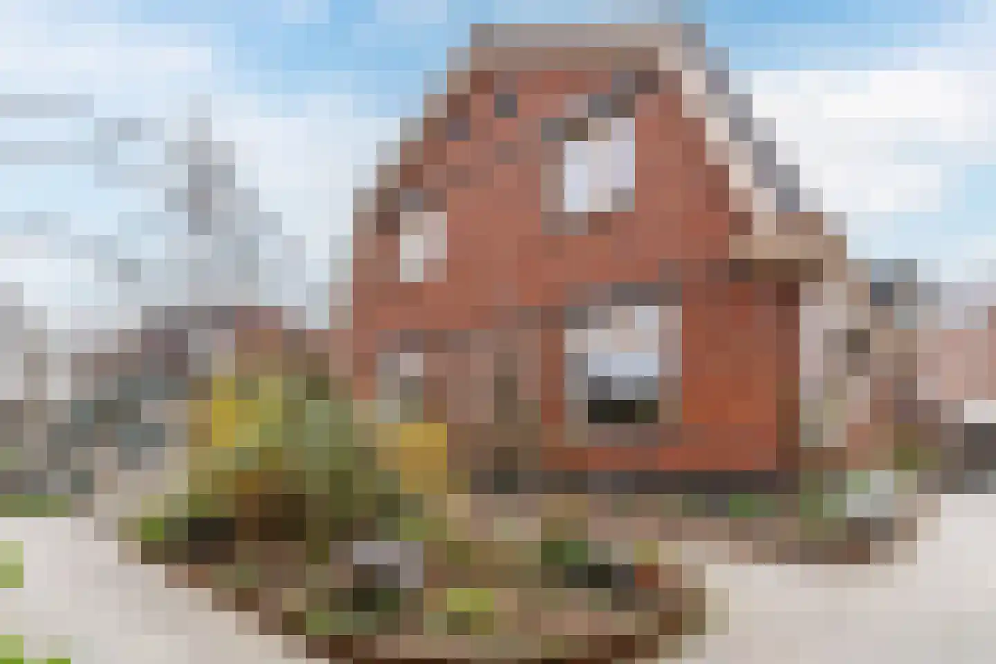 de Nederlanden 4 Noord-Scharwoude thumbnail 4