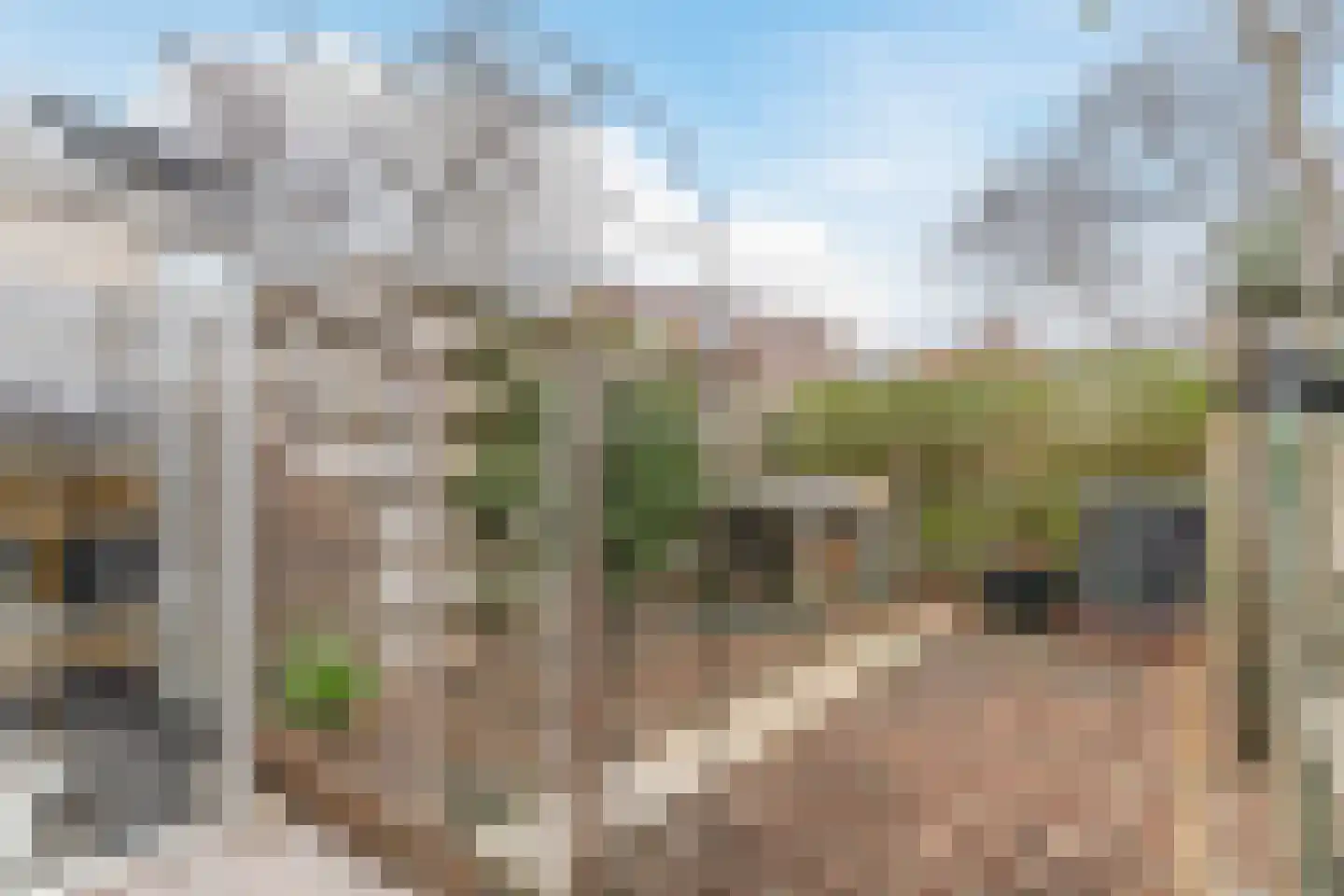 de Nederlanden 4 Noord-Scharwoude thumbnail 45