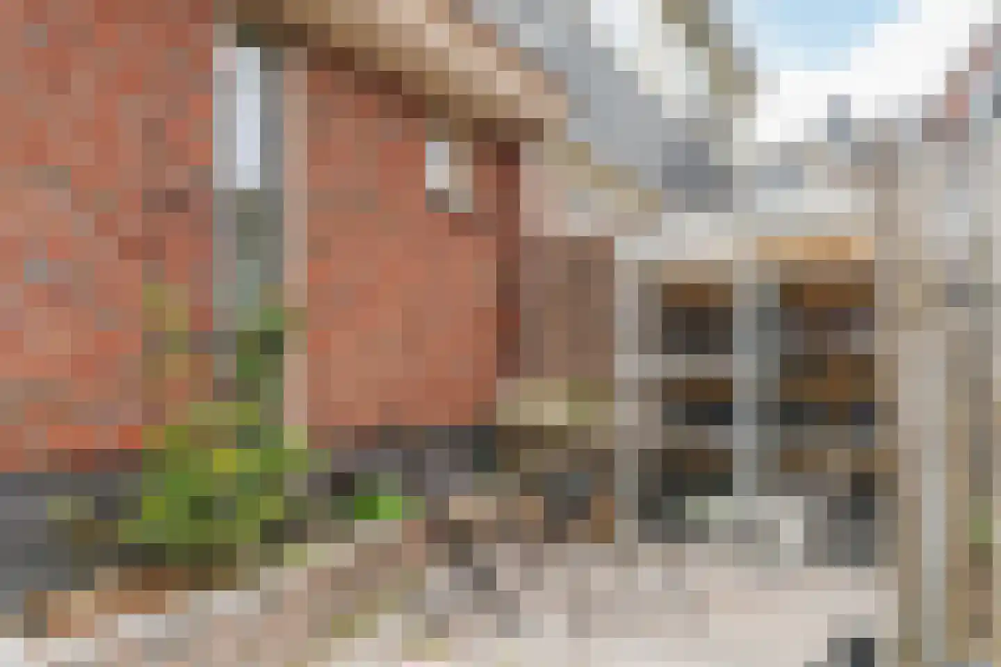 de Nederlanden 4 Noord-Scharwoude thumbnail 46