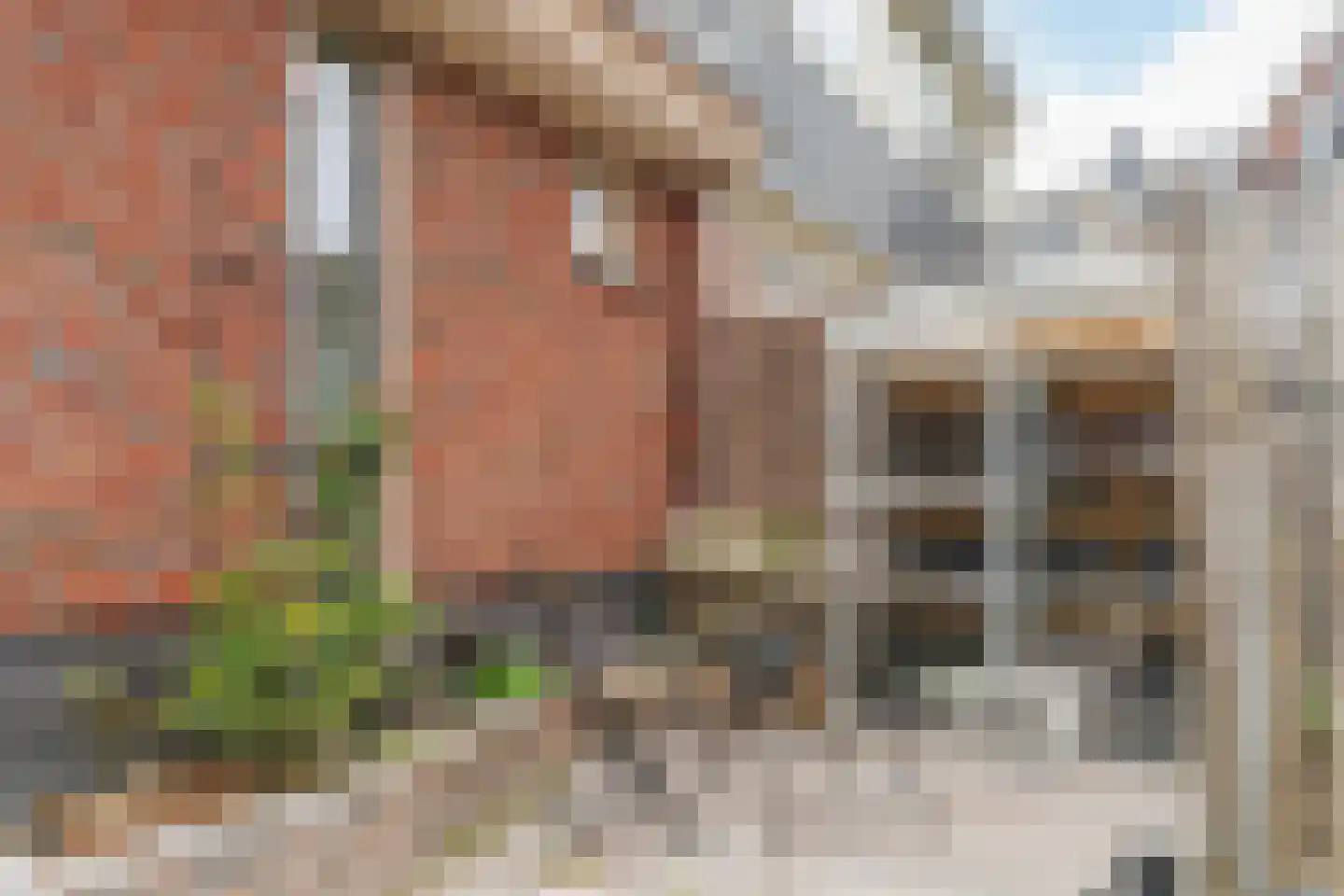 de Nederlanden 4 Noord-Scharwoude thumbnail 46