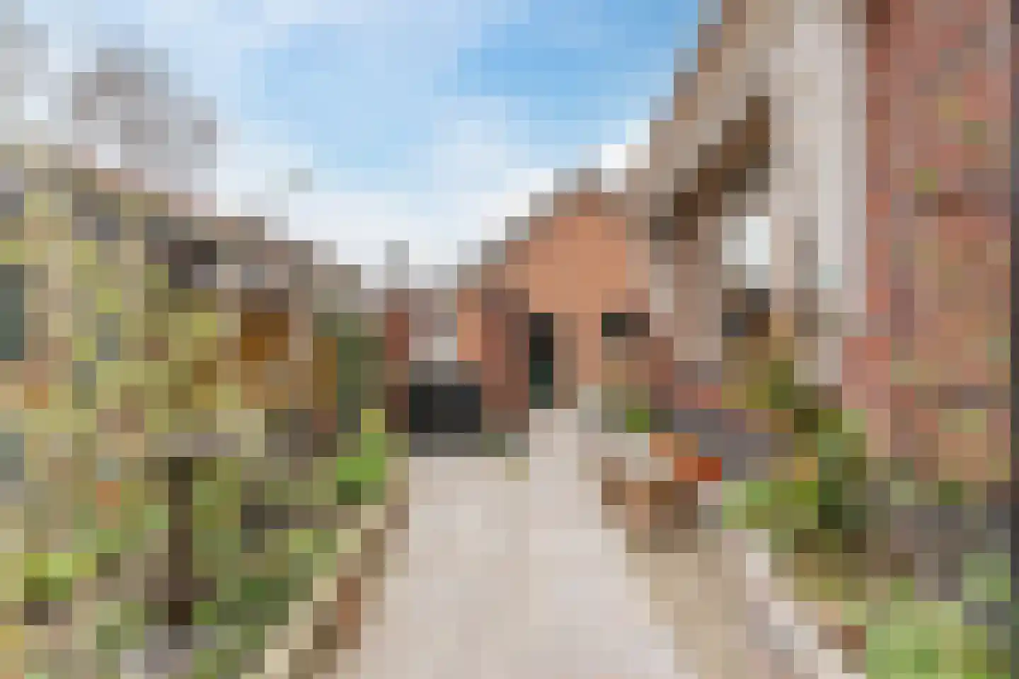 de Nederlanden 4 Noord-Scharwoude thumbnail 47