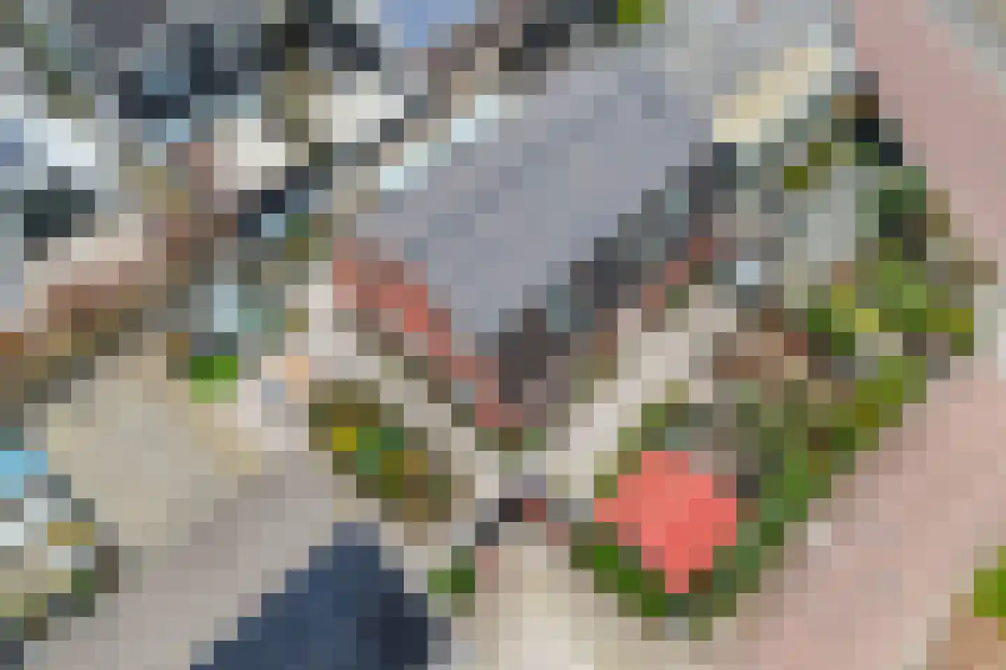 de Nederlanden 4 Noord-Scharwoude thumbnail 5