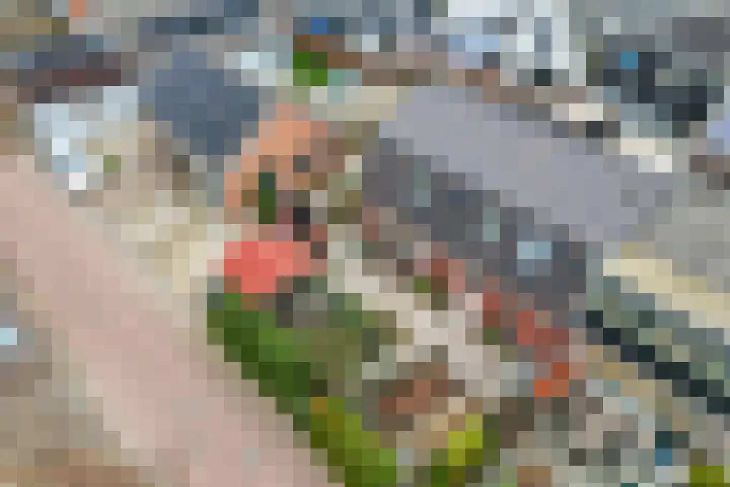 de Nederlanden 4 Noord-Scharwoude thumbnail 50