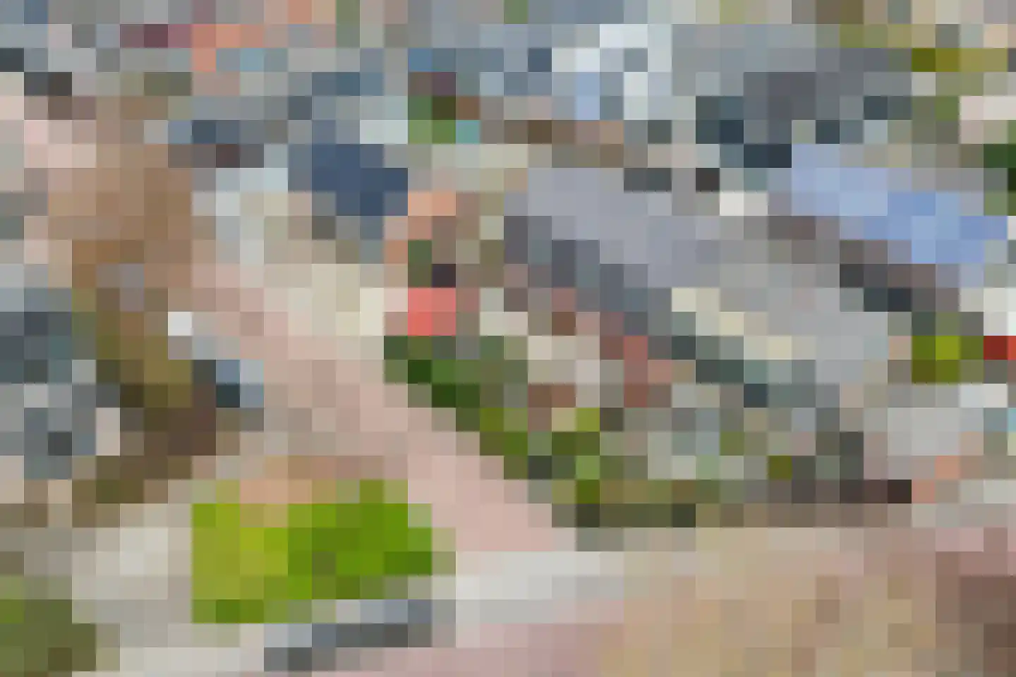 de Nederlanden 4 Noord-Scharwoude thumbnail 51