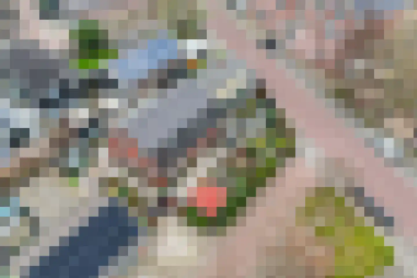 de Nederlanden 4 Noord-Scharwoude thumbnail 6