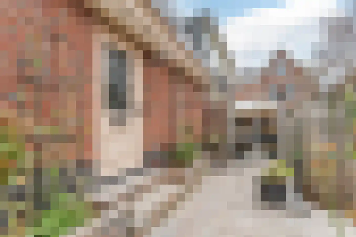 de Nederlanden 4 Noord-Scharwoude thumbnail 8
