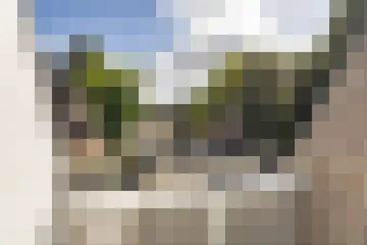 de Nederlanden 7 C Noord-Scharwoude thumbnail 11