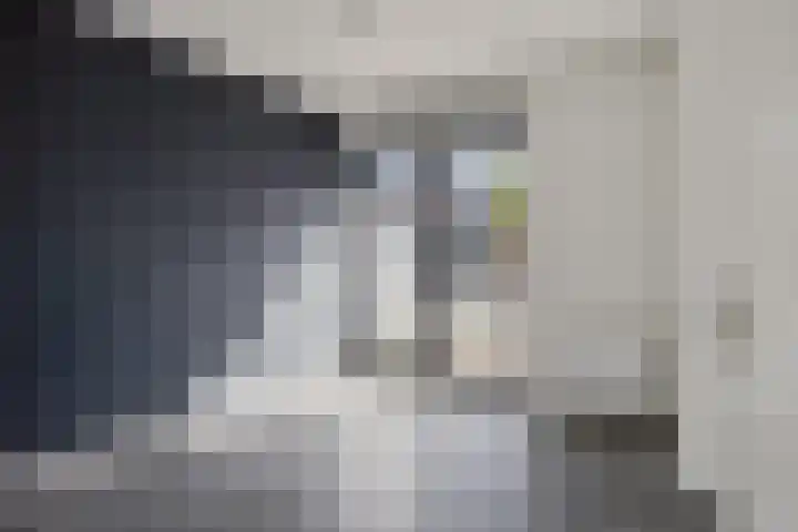 de Nederlanden 7 C Noord-Scharwoude thumbnail 9
