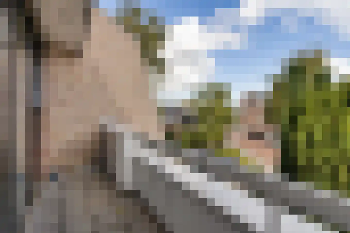 de Nederlanden 7 D Noord-Scharwoude thumbnail 14