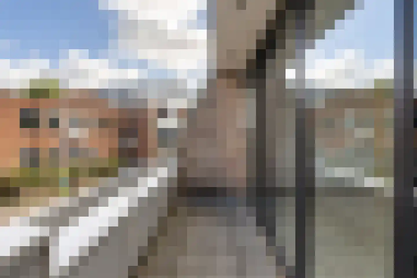 de Nederlanden 7 D Noord-Scharwoude thumbnail 15