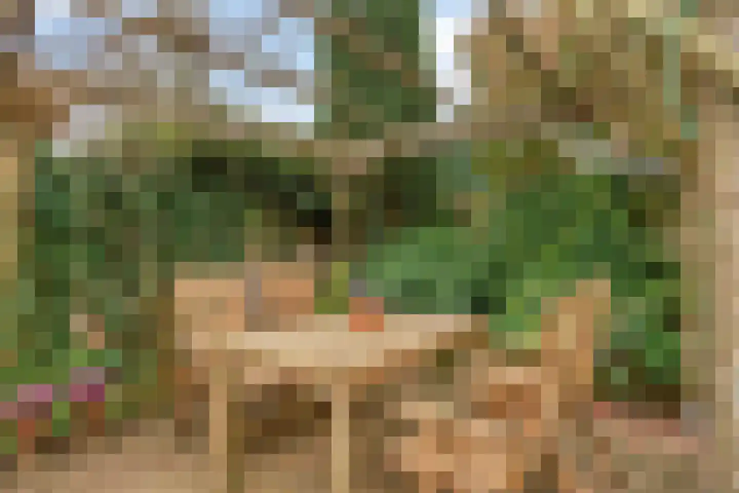 De Neerheide 11 Waalre thumbnail 38