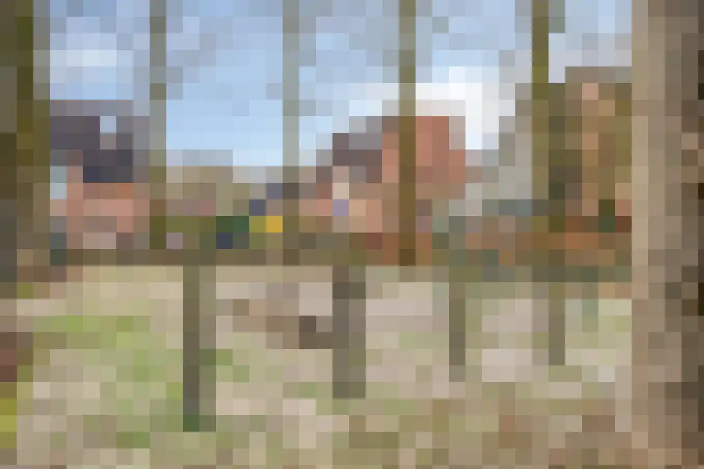 De Neerheide 11 Waalre thumbnail 40