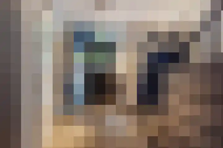 De Neerheide 22 Waalre thumbnail 4