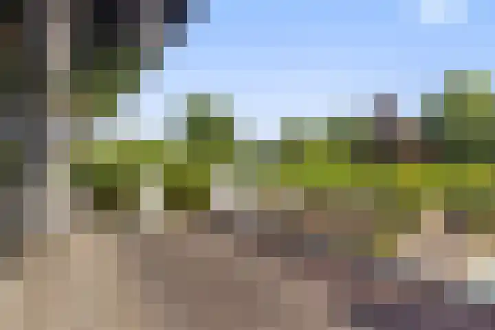 De Neerheide 22 Waalre thumbnail 46