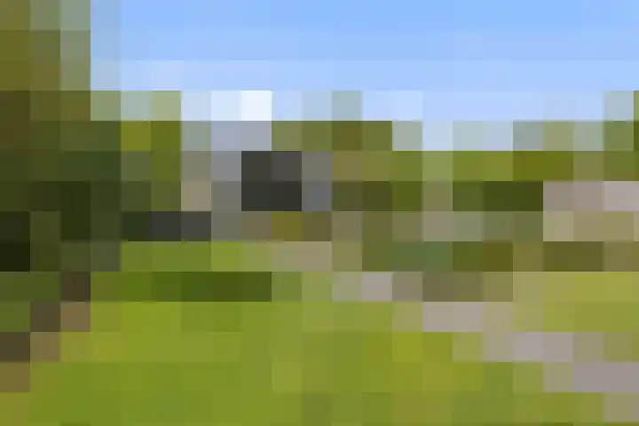 De Neerheide 22 Waalre thumbnail 56