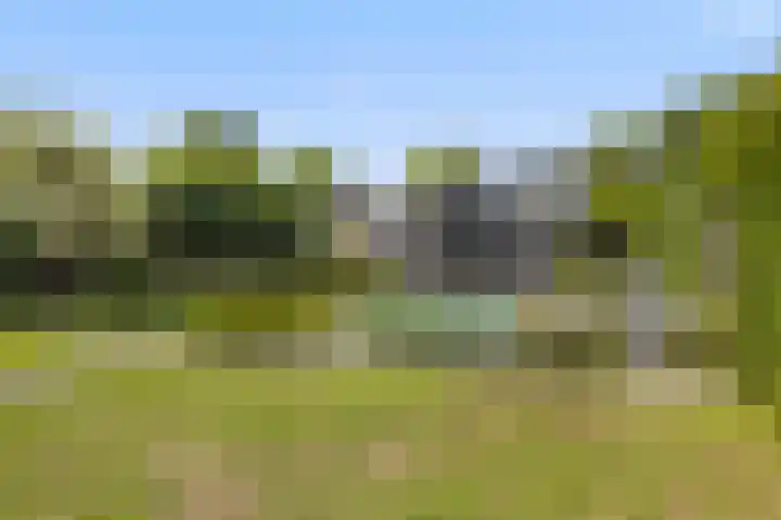 De Neerheide 22 Waalre thumbnail 57