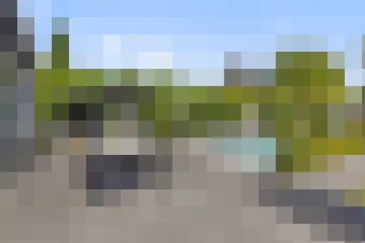 De Neerheide 22 Waalre thumbnail 61