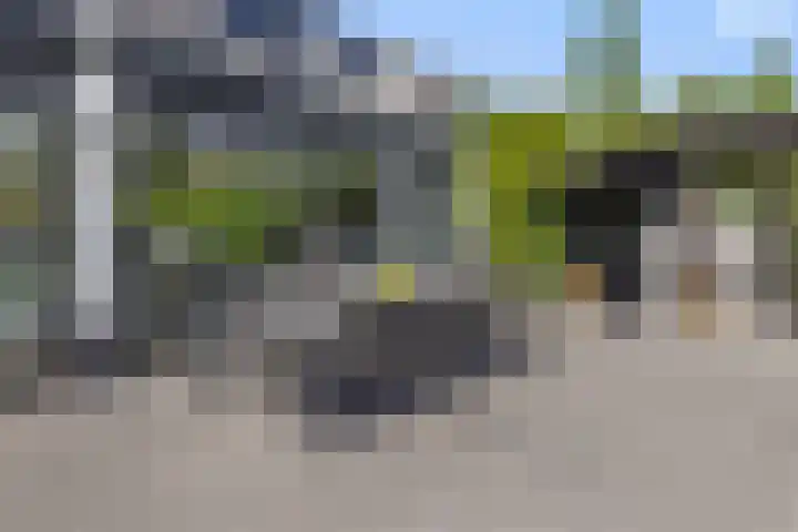 De Neerheide 22 Waalre thumbnail 62