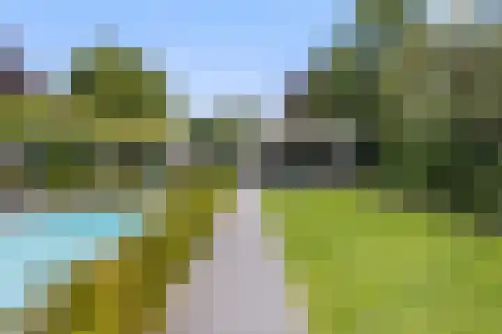 De Neerheide 22 Waalre thumbnail 67