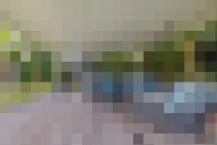 De Neerheide 22 Waalre thumbnail 70