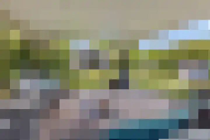 De Neerheide 22 Waalre thumbnail 71