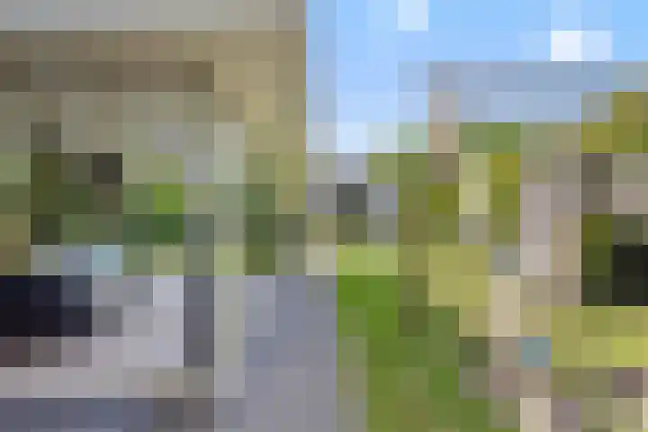 De Neerheide 22 Waalre thumbnail 72