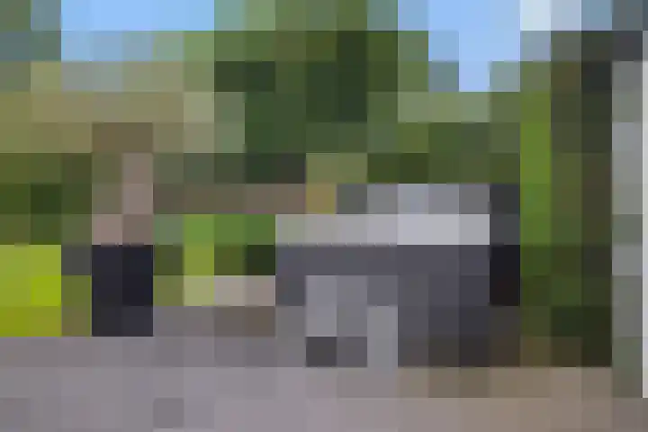 De Neerheide 22 Waalre thumbnail 73