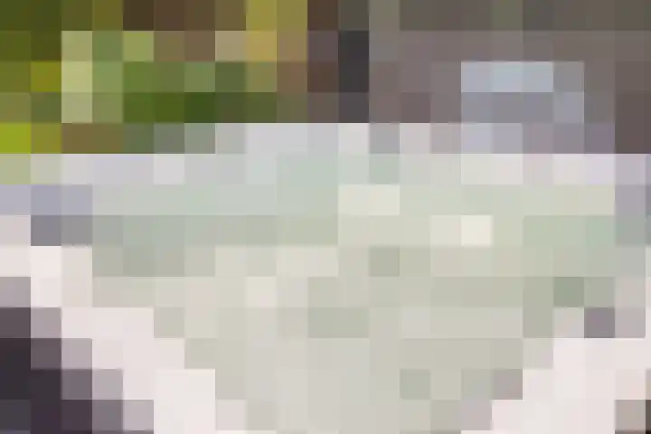 De Neerheide 22 Waalre thumbnail 74
