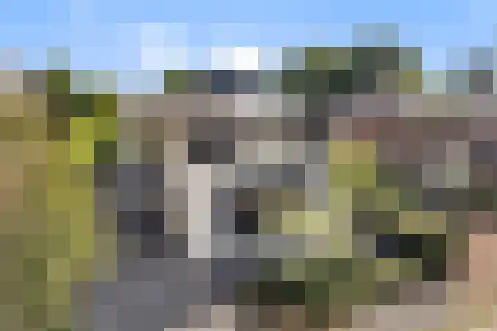 De Neerheide 22 Waalre thumbnail 76