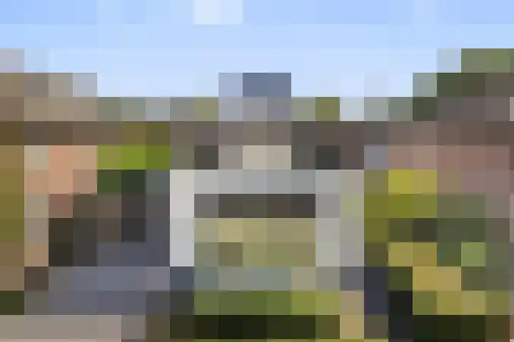 De Neerheide 22 Waalre thumbnail 78