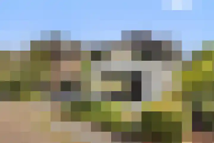 De Neerheide 22 Waalre thumbnail 79