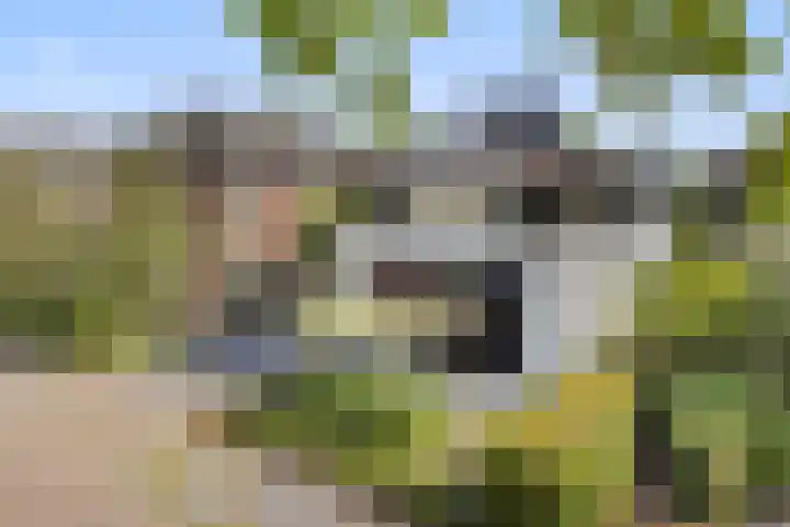 De Neerheide 22 Waalre thumbnail 80