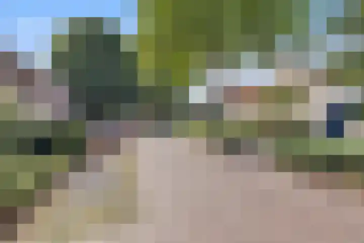 De Neerheide 22 Waalre thumbnail 81