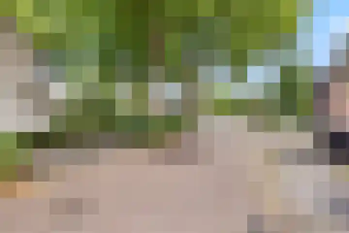 De Neerheide 22 Waalre thumbnail 82