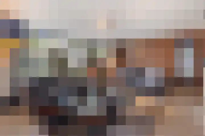 De Neerheide 22 Waalre thumbnail 9