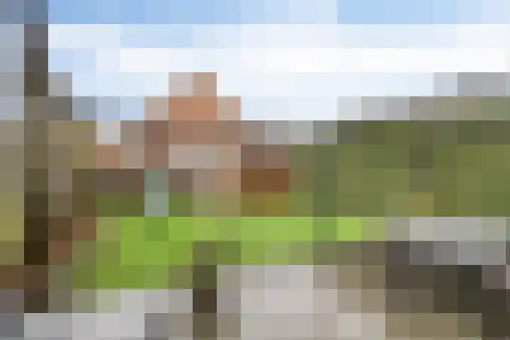 De Neerheide 29 Waalre thumbnail 40