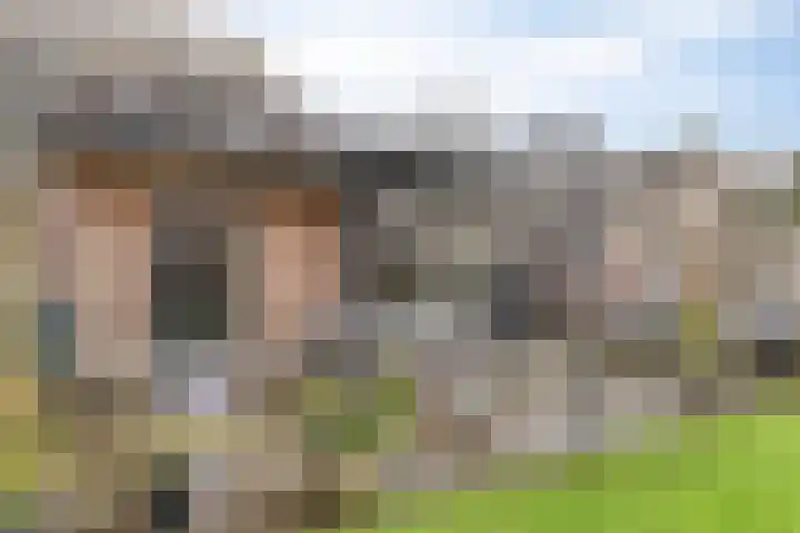 De Neerheide 29 Waalre thumbnail 41
