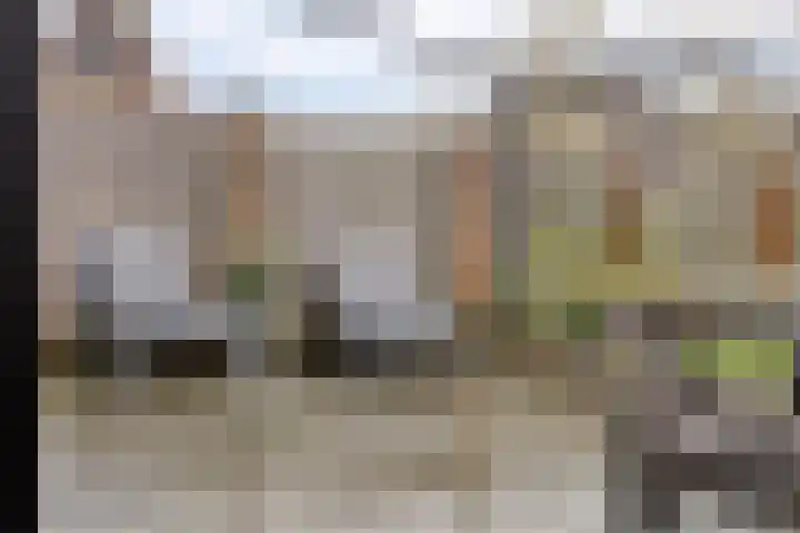De Neerheide 29 Waalre thumbnail 43