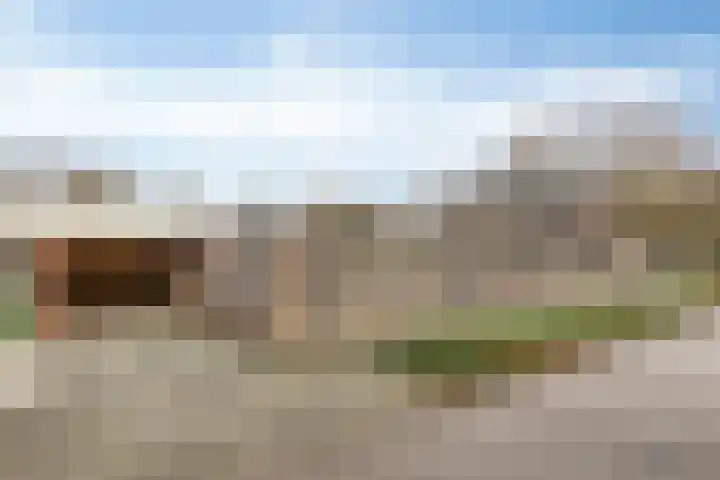De Neerheide 29 Waalre thumbnail 45