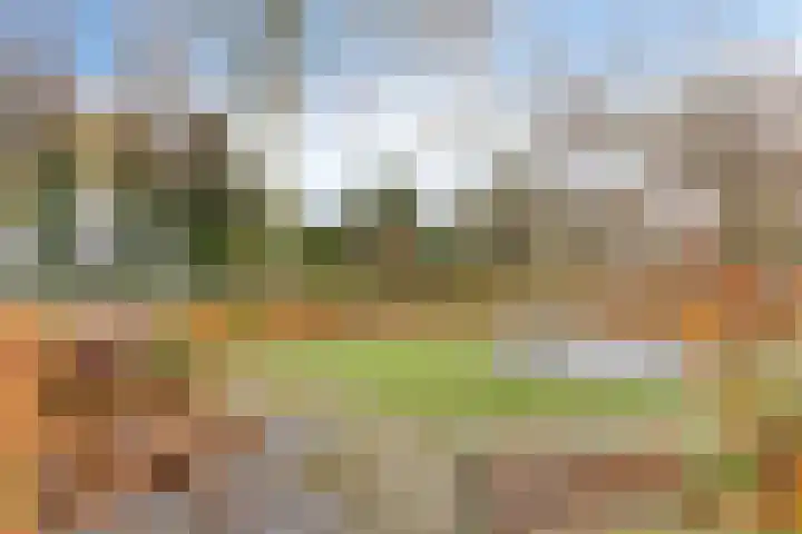 De Neerheide 29 Waalre thumbnail 48