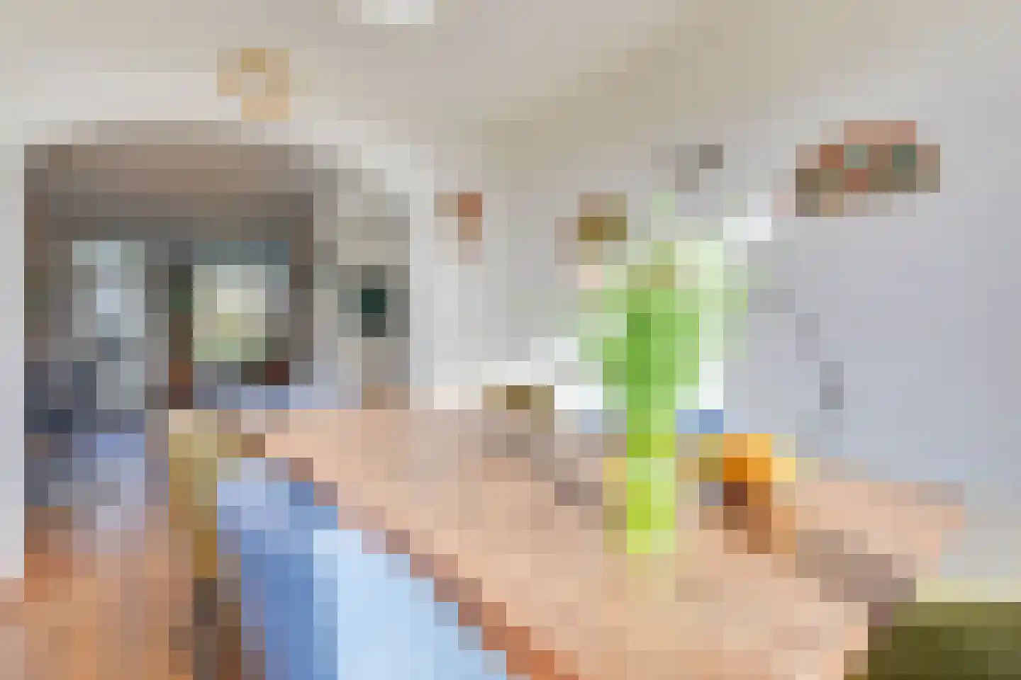 De Negen Geerzen 5 Warmenhuizen thumbnail 16