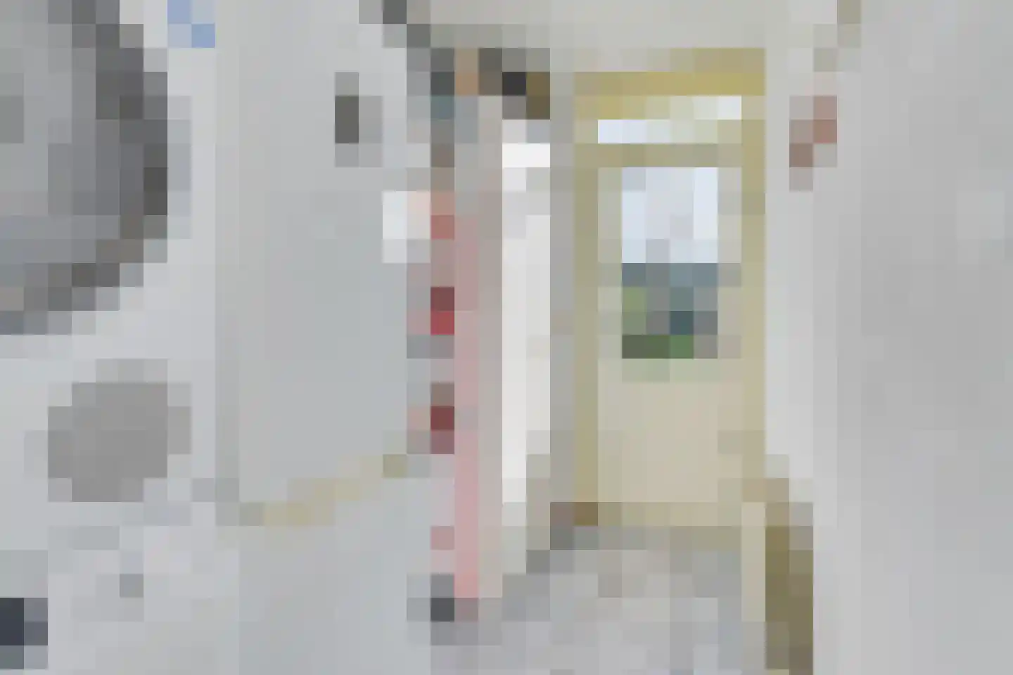 De Negen Geerzen 5 Warmenhuizen thumbnail 20