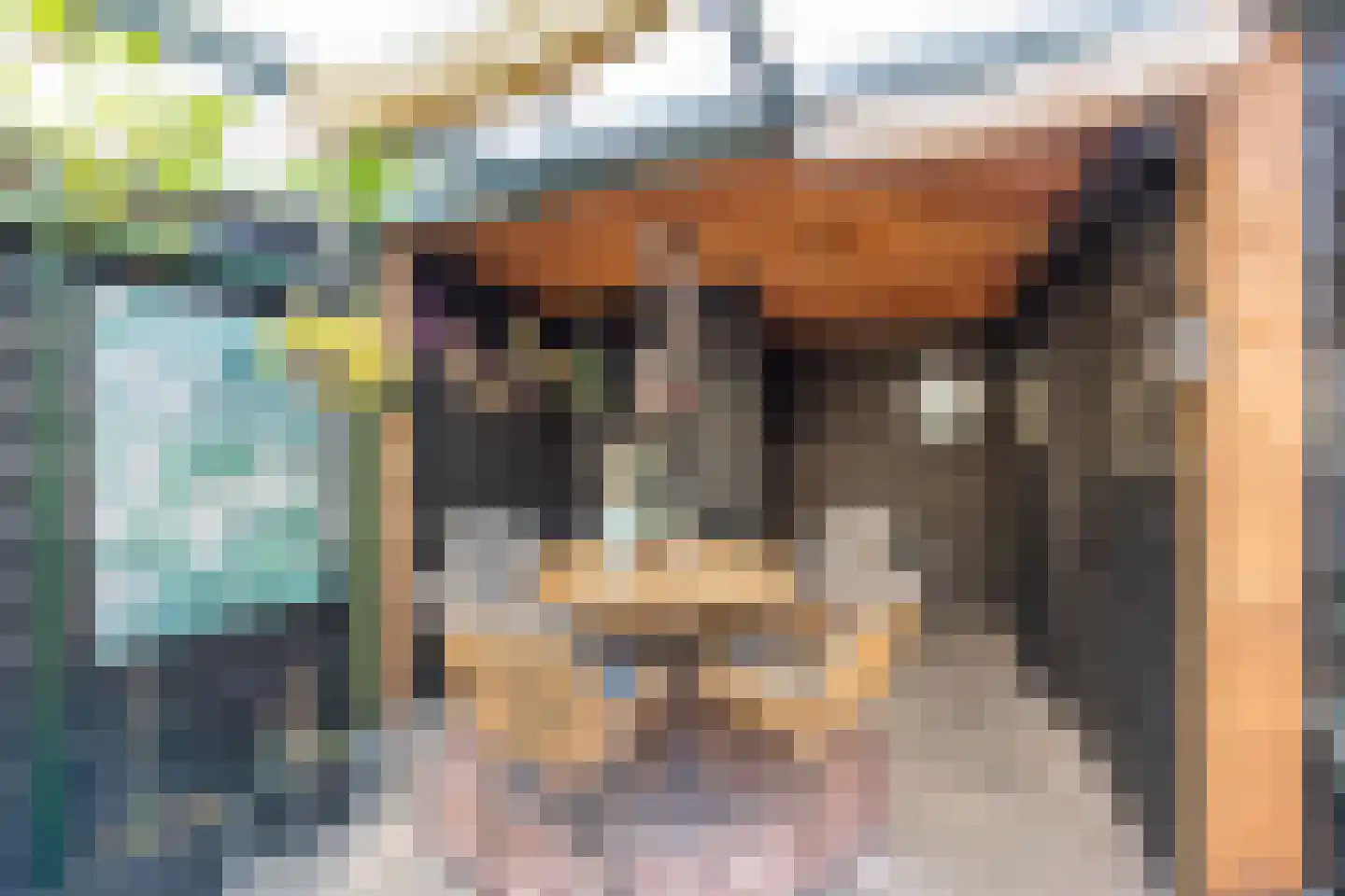 De Negen Geerzen 5 Warmenhuizen thumbnail 27