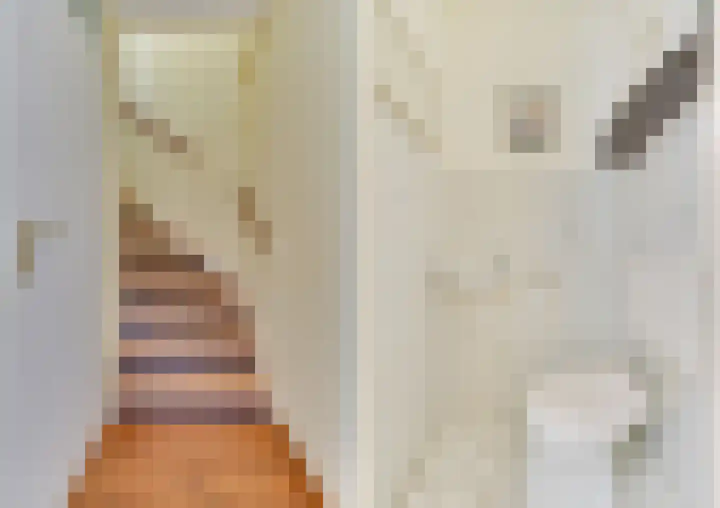 De Negen Geerzen 5 Warmenhuizen thumbnail 32