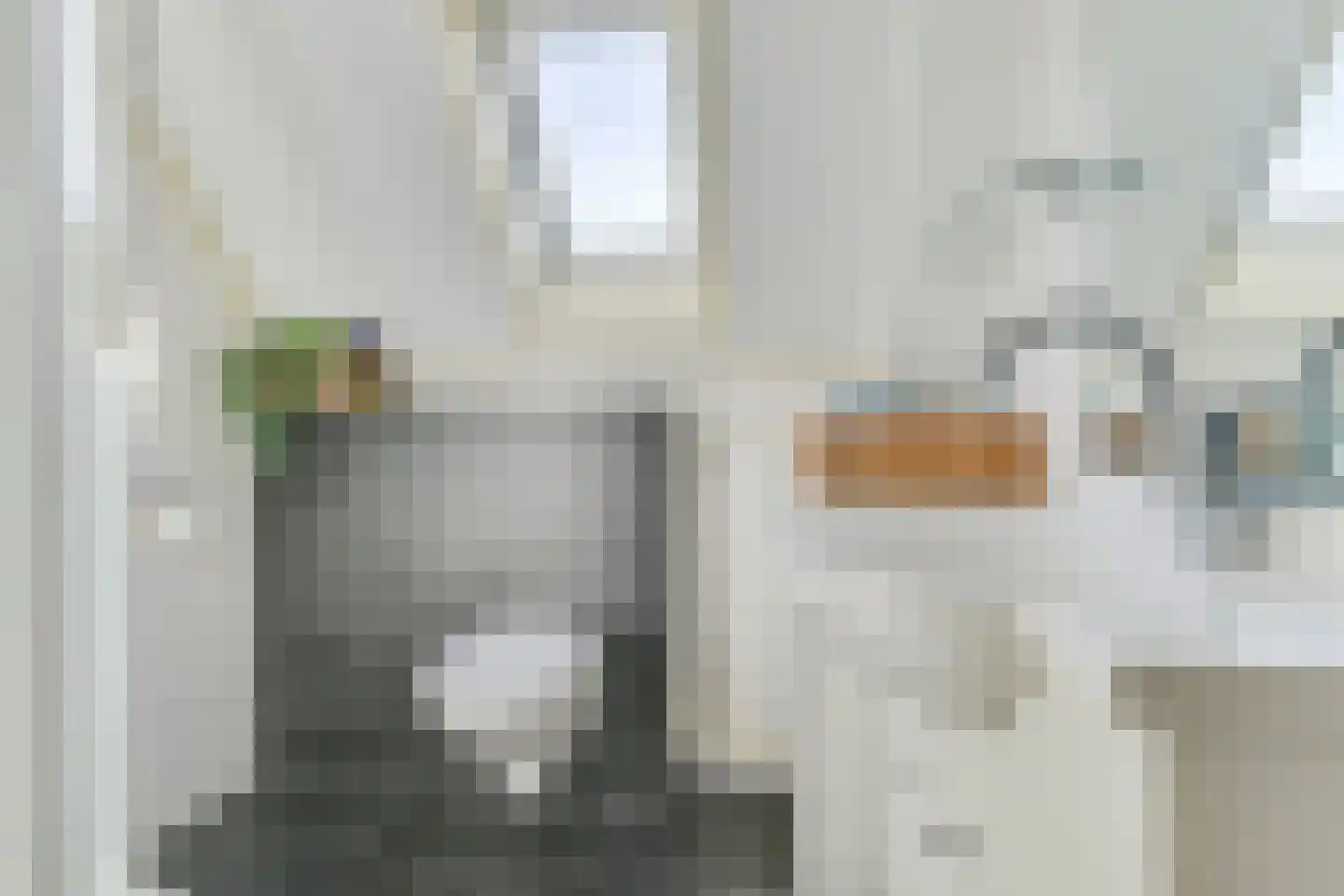 De Negen Geerzen 5 Warmenhuizen thumbnail 39