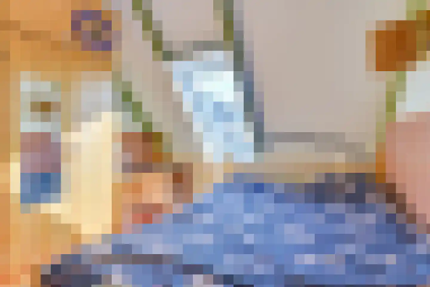 De Negen Geerzen 5 Warmenhuizen thumbnail 42